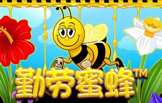 Leyu体育app官方下载